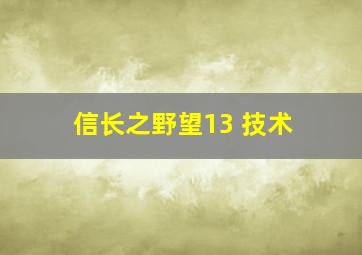 信长之野望13 技术